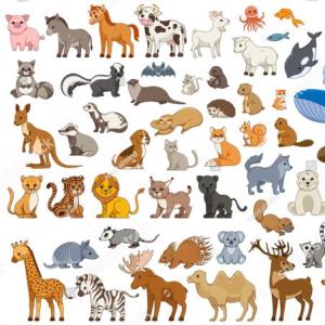 Animales terrestres