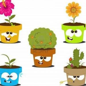 ¿Cuanto conocemos sobre las plantas y sus cuidados?