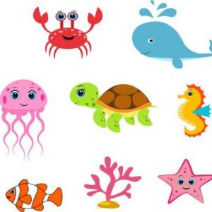 Ocean Life