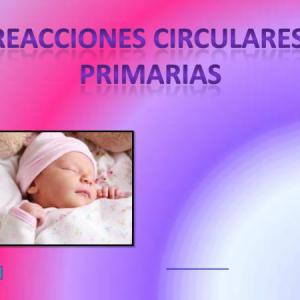 ADIVINA LA REACCION 