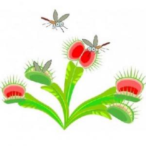 Imagen de portada del videojuego educativo: LAS PLANTAS CARNÍVORAS, de la temática Ciencias