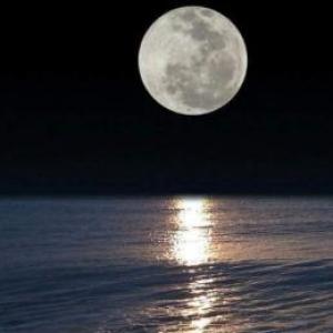 FASES DE LA LUNA