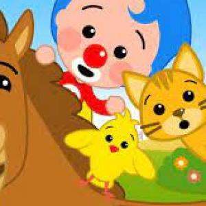 memoanimales