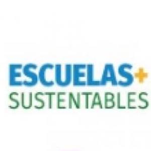 ¿SUSTENTABLE O NO?