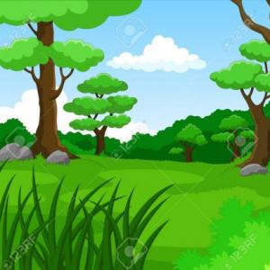 SELVA EN ACCIÓN