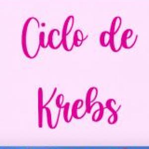 EL CICLO DE KREBS