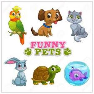 Imagen de portada del videojuego educativo: Funny pets, de la temática Cultura general