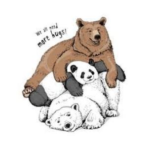 Imagen de portada del videojuego educativo: Bears , de la temática Idiomas