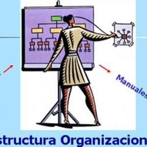 LA ESTRUCTURA