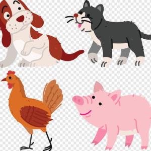 Adivinamos los animales que vemos en casa