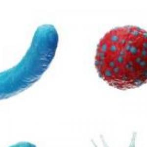 virus y bacterias