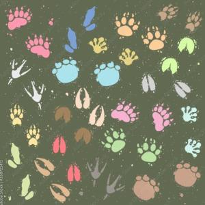 Exploradores de Animales