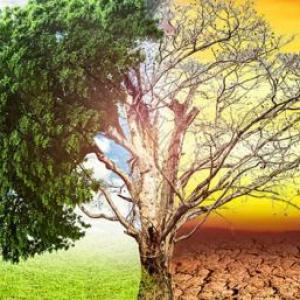 OCA de deforestacion, caza excesiva y calentamiento global