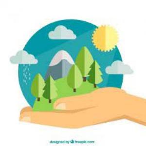 Aprendiendo del medio ambiente