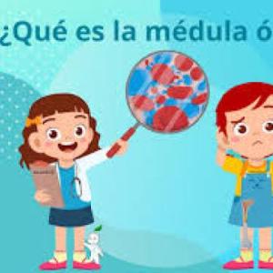 MÉDULA ÓSEA Y TEJIDO SANGUINEO