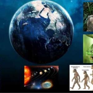 EL UNIVERSO