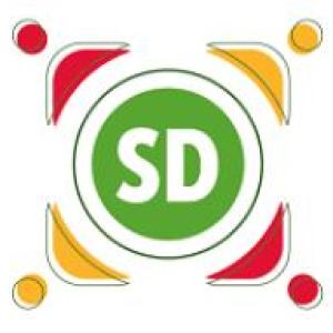 Simulacro Distrital.