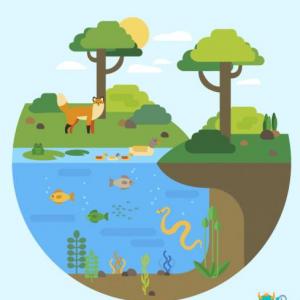Sistemas Ecológicos