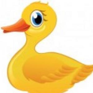 tarjetas de memoria de los animales de la la granja