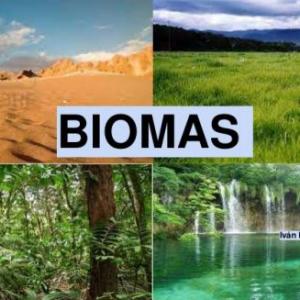 Los biomas