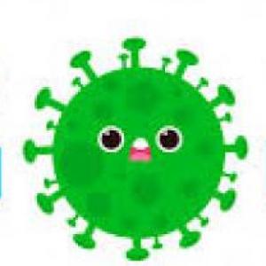 Portada del juego Protocolos de bioseguridad – Cultura general