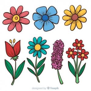 CLASES DE FLORES