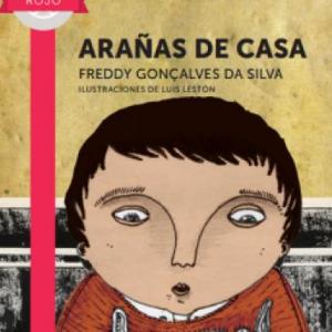 ARAÑAS DE CASA