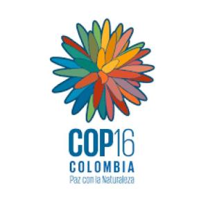 Protagonistas de la COP16