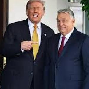 MEMORIAS DE REPERCUCIONES DE POLITICAS TRUMP