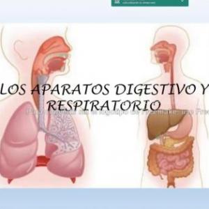 SISTEMA RESPIRATORIO Y DIGESTIVO
