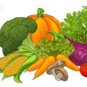 MEMORIA DE LOS VEGETALES