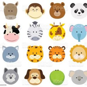 animales