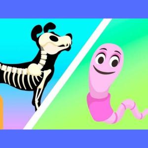 Clasificación de animales