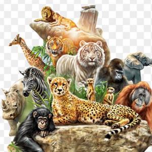 Animales