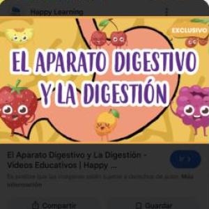Explorando el Aparato Digestivo