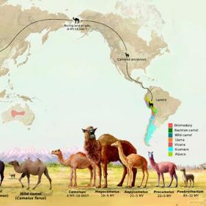 Patrones y tipos de biodiversidad