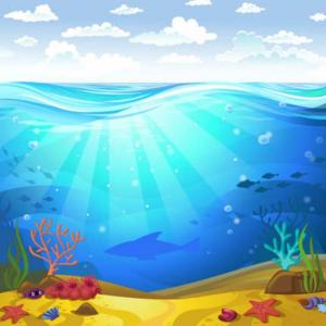 SEA ANIMALS MEMORY