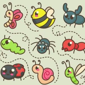 Los insectos