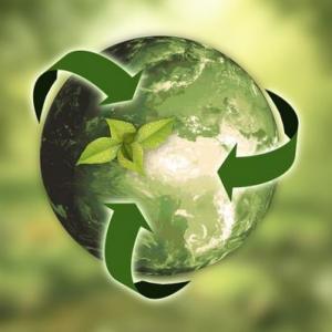 MEDIO AMBIENTE