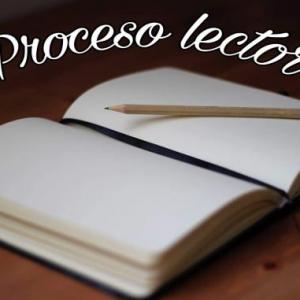 Proceso lector