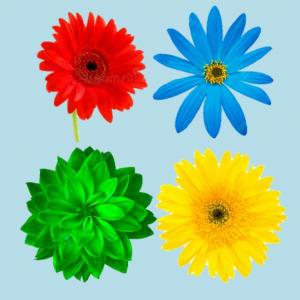 MEMOTEST: FLORES DE PRIMAVERA