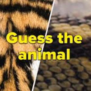 Animales en Inglés