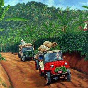 Imagen de portada del videojuego educativo: Pisos térmicos en Colombia, de la temática Geografía