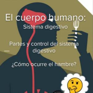 Hormonas y Neurotransmisores del Hambre