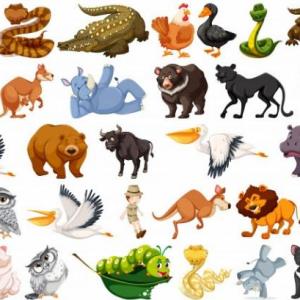 ¿que animal soy?