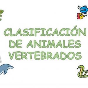 Chapuzón.