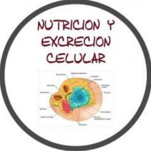 Nutrición y excresión celular