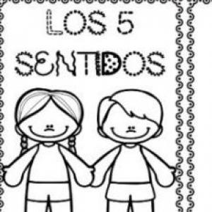 Imagen de portada del videojuego educativo: LOS 5 SENTIDOS, de la temática Cultura general