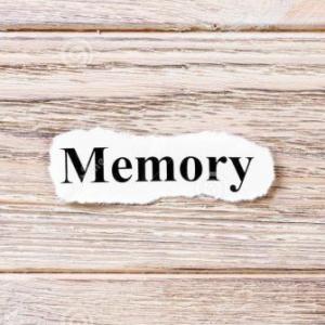 el juego dela memoria