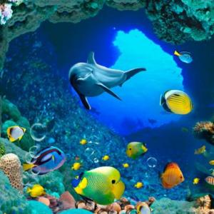 ¿Cuánto conoces del los animales del mar ?